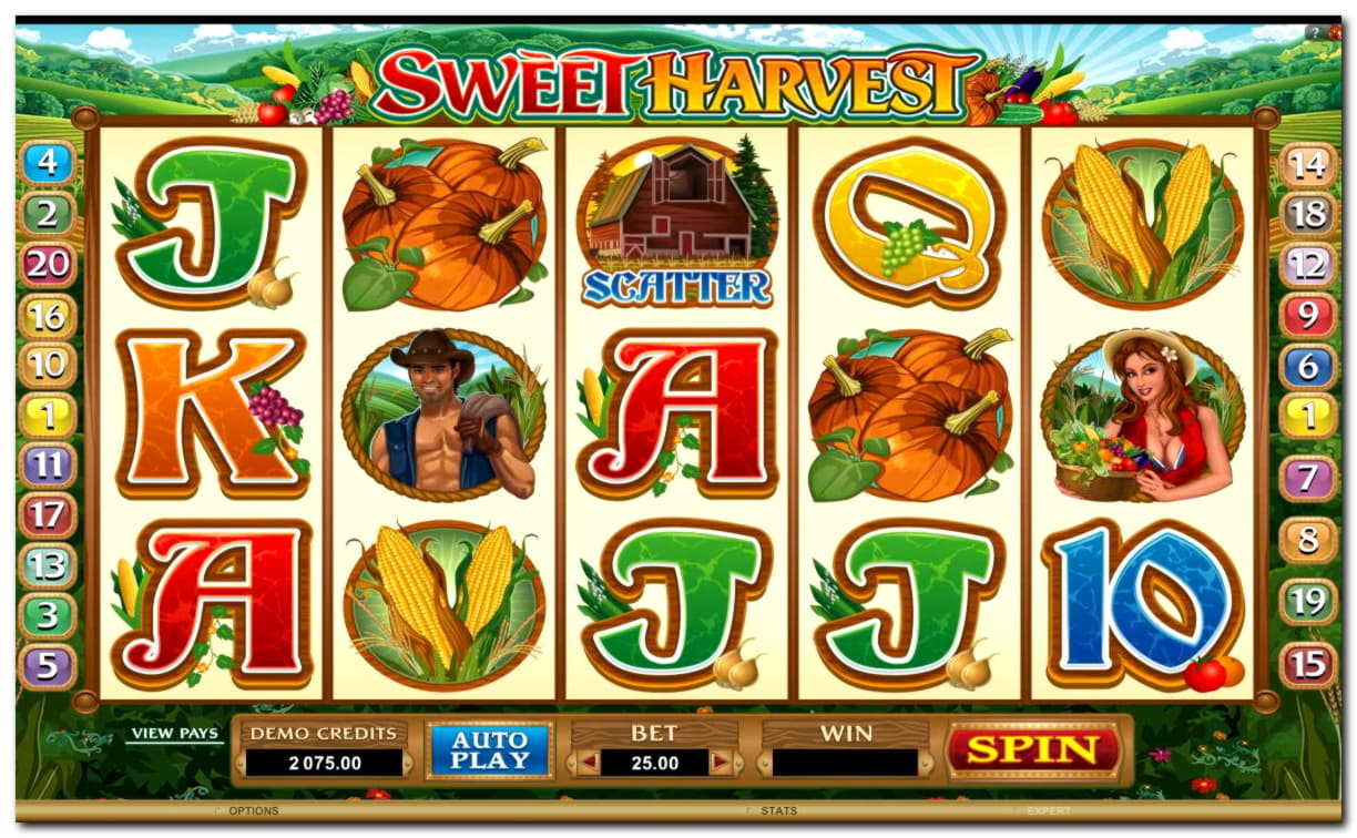 €515 Tournament at Maldives Casino 