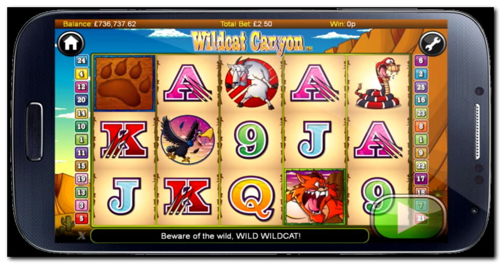 135 FREE Spins at bWin Casino