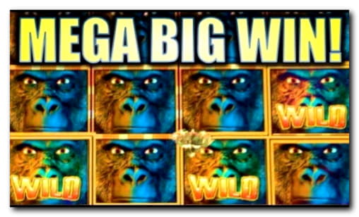 575% Match Bonus Casino at Cashmio Casino