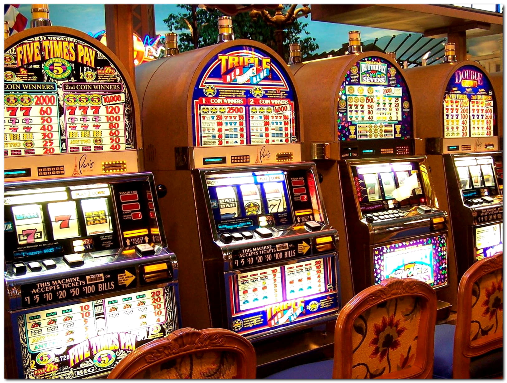 $4885 No Deposit Casino Bonus at Dafa Bet Casino