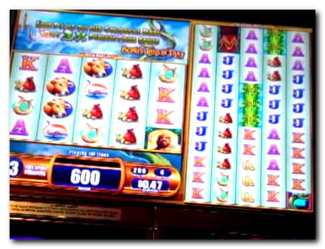 ﻿$480 casino chip at Dafa Bet Casino