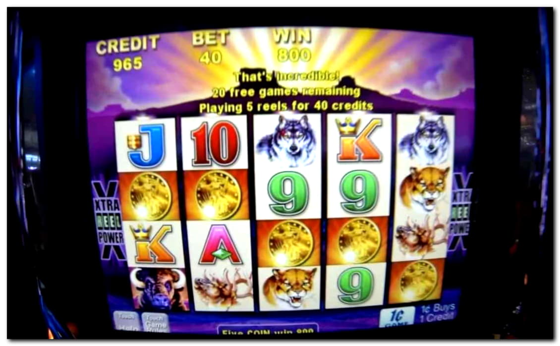 275 Free Spins at Dafa Bet Casino