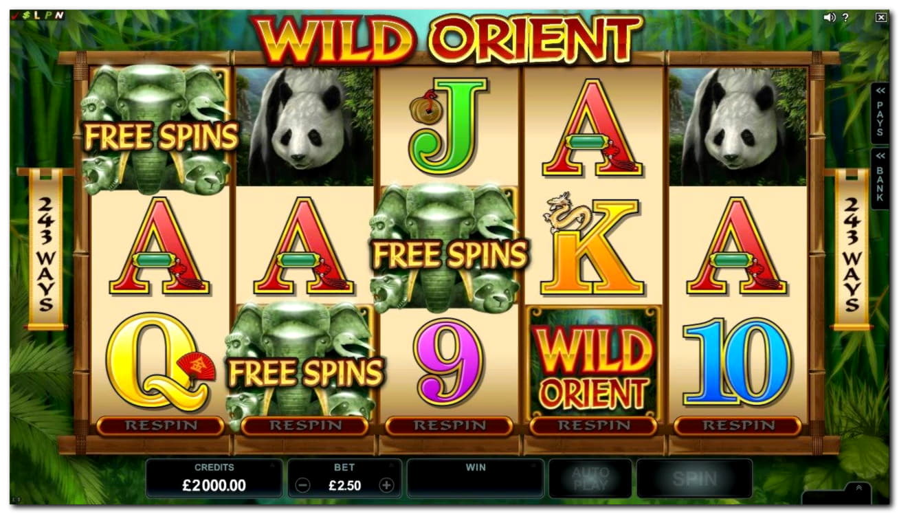 €4065 NO DEPOSIT CASINO BONUS at Royal Panda Casino