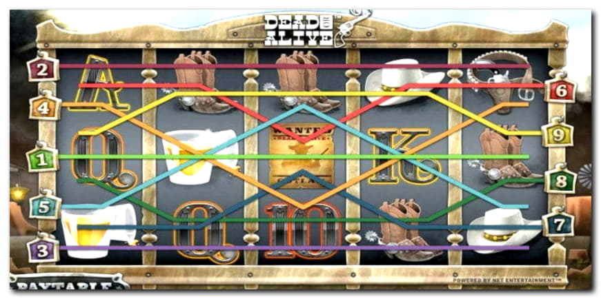 730% Casino Welcome Bonus at Spin Palace Casino