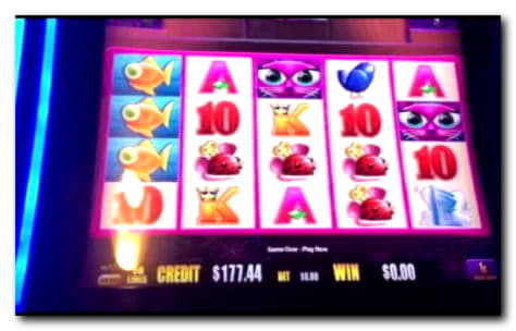 150 free spins at Treasure Island Jackpots Casino (Australia Casino Mirror)