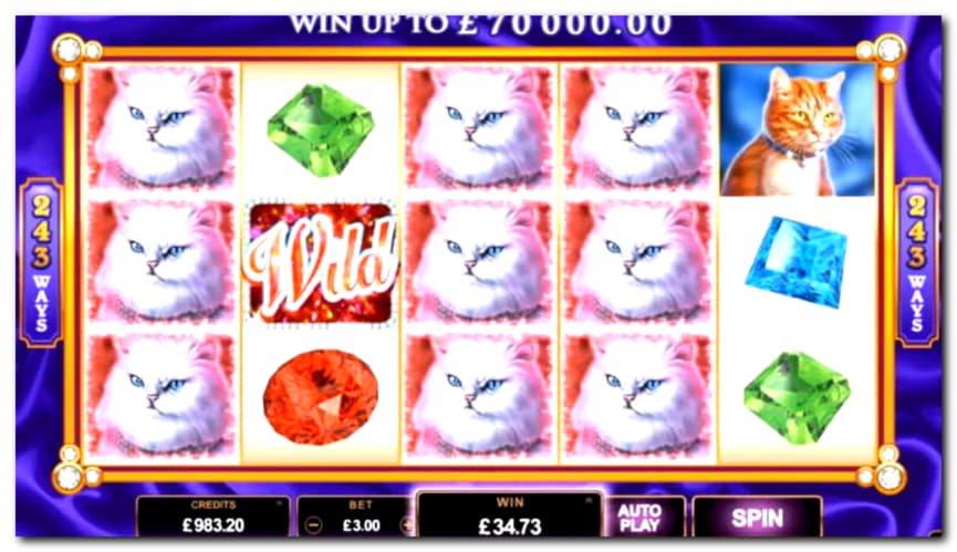 £460 NO DEPOSIT BONUS CASINO at No Bonus Casino