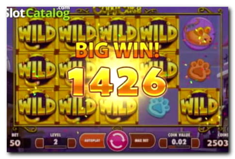 95 Free spins casino at Spin Palace Casino