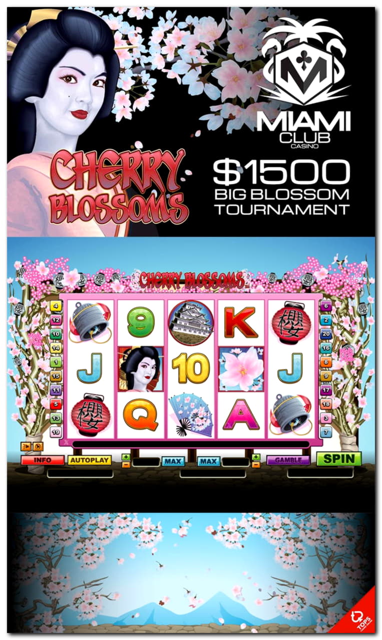 105% casino match bonus at Cashmio Casino