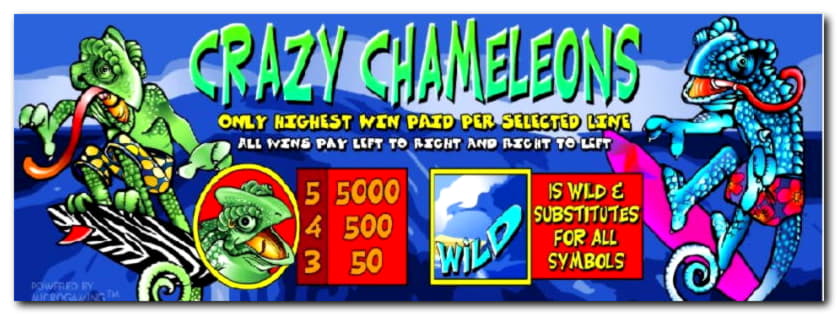 785% Match at a Casino at Maldives Casino 