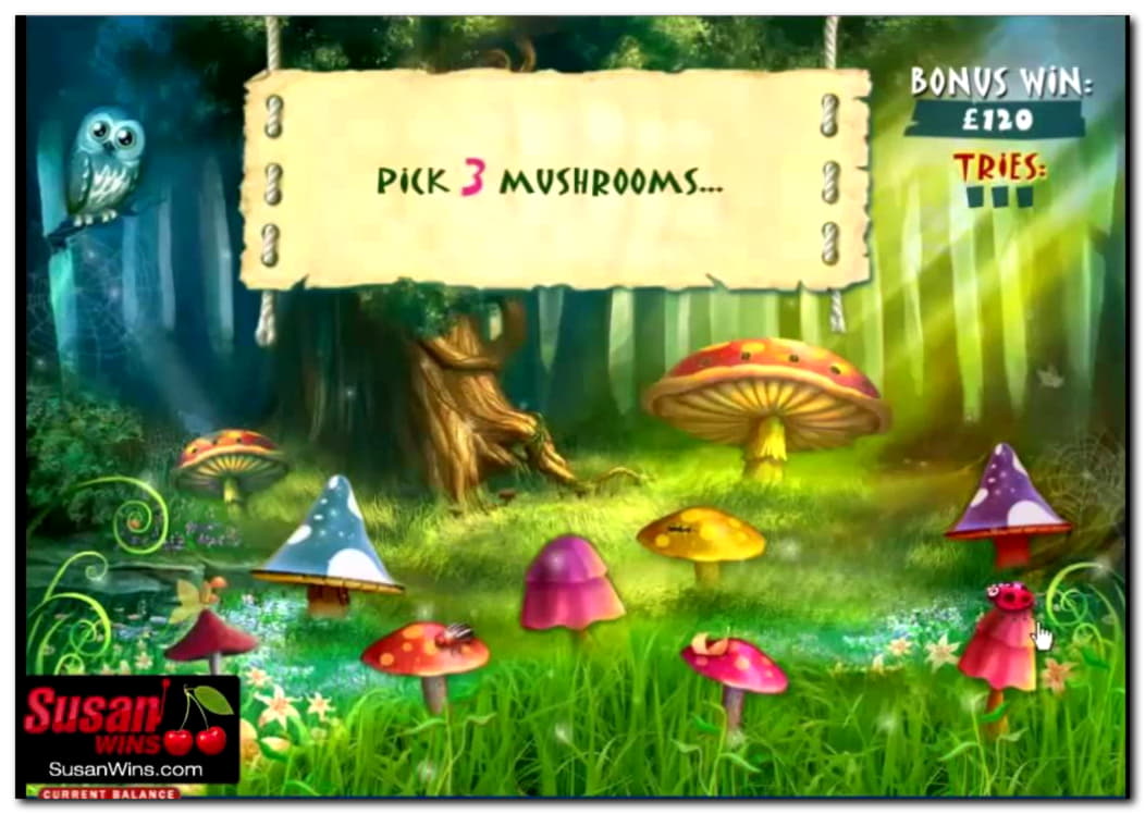 EUR 735 Free Casino Tournament at Dafa Bet Casino
