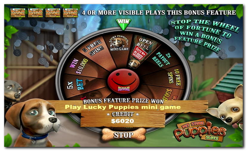 55 free spins no deposit casino at Intertops Casino