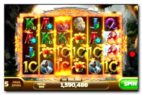 290 free spins casino at Dafa Bet Casino