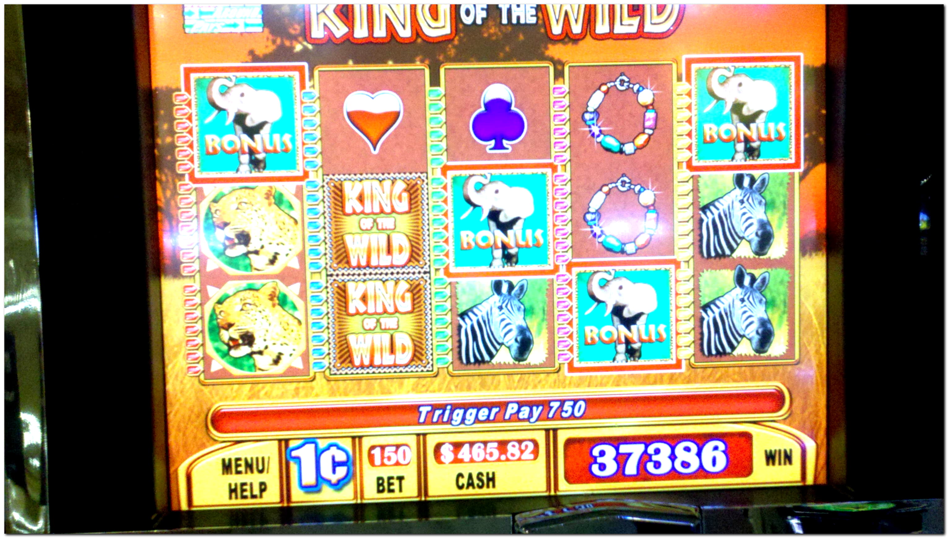 €4995 No Deposit Bonus Code at Royal Panda Casino