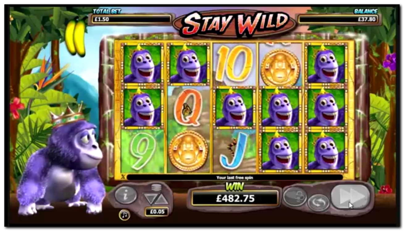 480% Welcome Bonus at Dafa Bet Casino