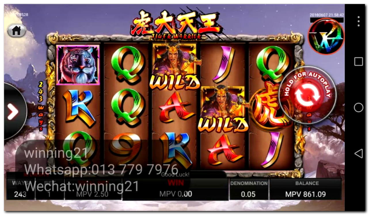 290 Free Spins right now at Dafa Bet Casino