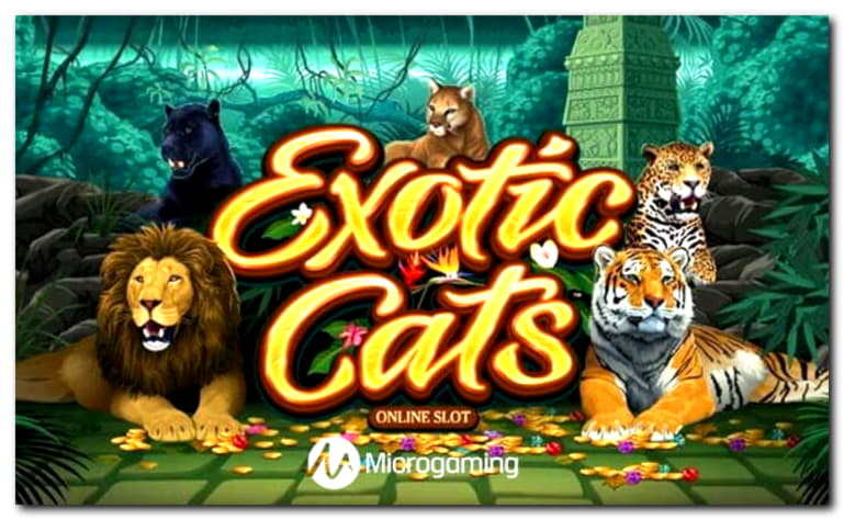160% Signup casino bonus at No Bonus Casino