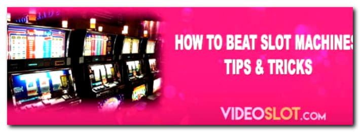 75 Loyalty Free Spins! at No Bonus Casino