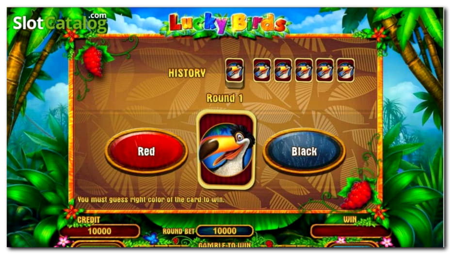 $575 Tournament at Cafe Casino
