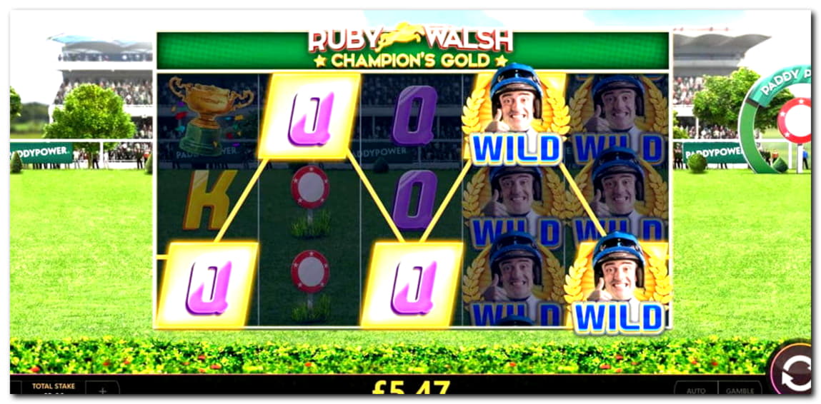 230 free spins no deposit casino at Spin Palace Casino