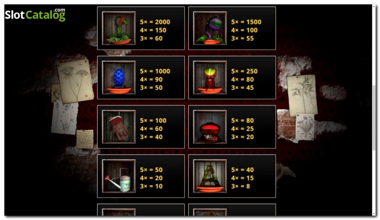 525% First Deposit Bonus at Gluck24 Casino