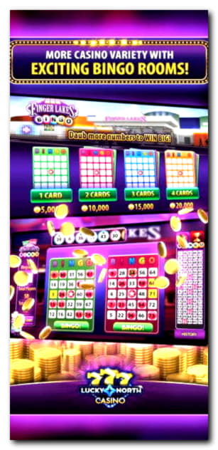 135% No Rules Bonus! at Cashmio Casino