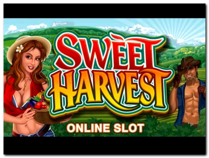 $4410 No Deposit Bonus Casino at Power Spins Casino