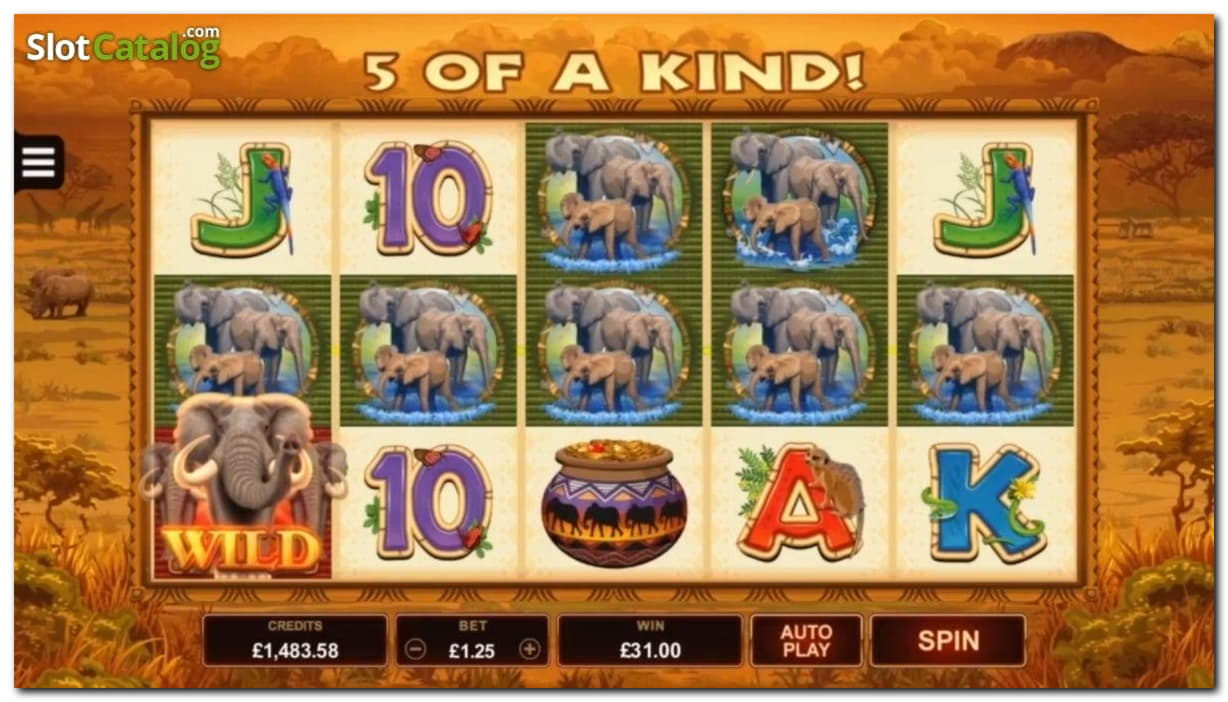 £1830 No Deposit Bonus at Dafa Bet Casino