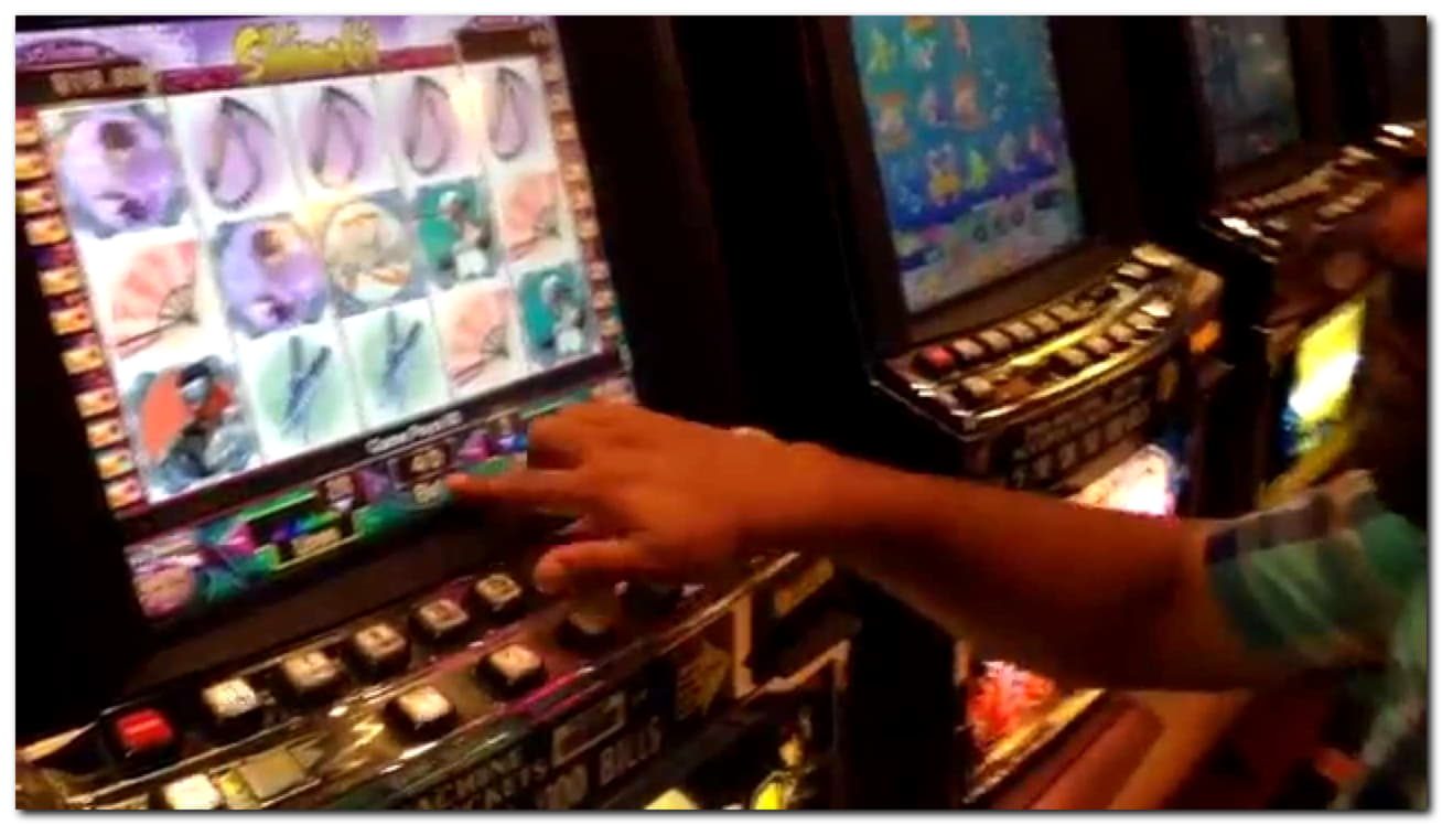 $3655 No Deposit Bonus Casino at Maldives Casino 