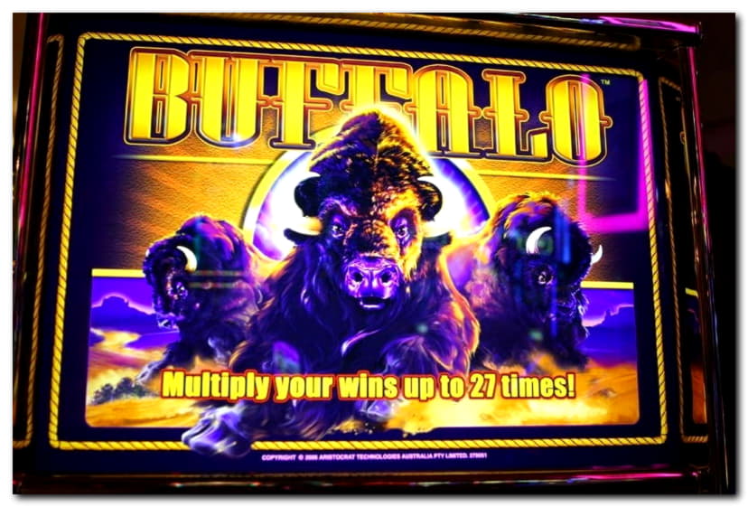 $555 Casino chip at Casino com