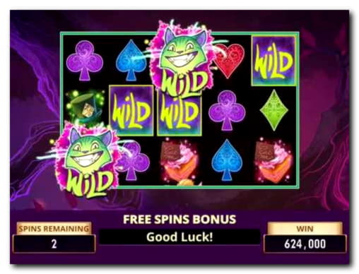 730% No Rules Bonus! at Spin Palace Casino