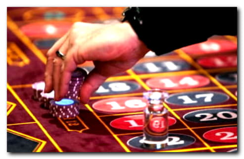 255 Free Spins right now at Spin Palace Casino