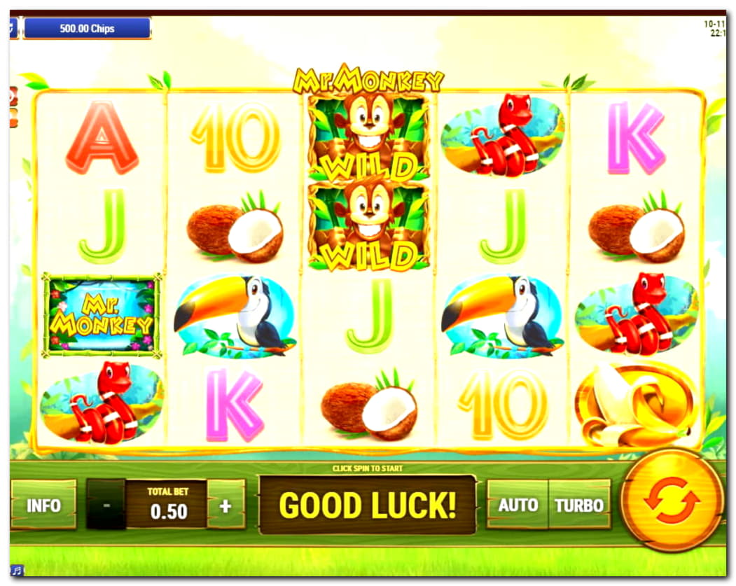EURO 4880 NO DEPOSIT BONUS CODE at Spin Palace Casino