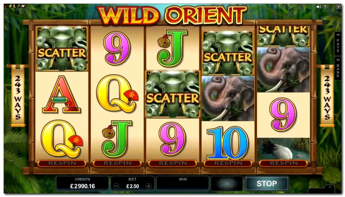645% Casino Welcome Bonus at Golden Star Casino