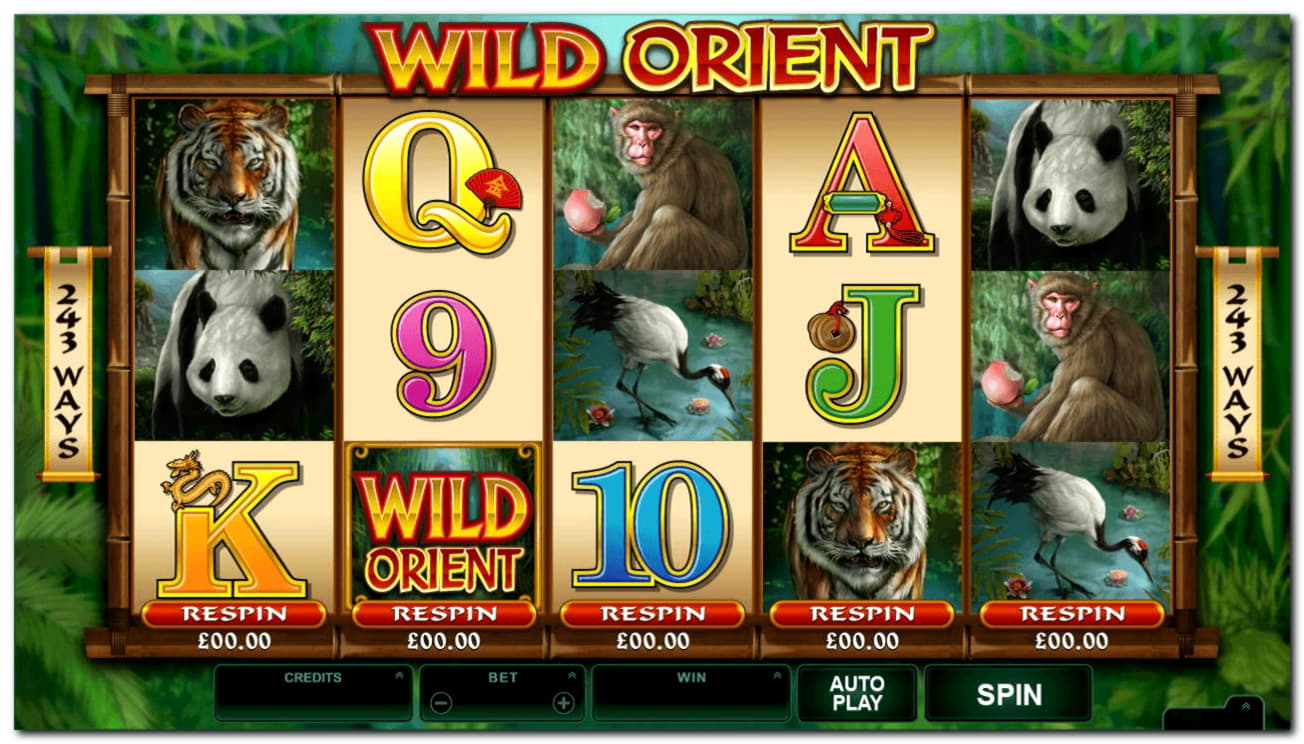 290 Free Spins right now at Casino com