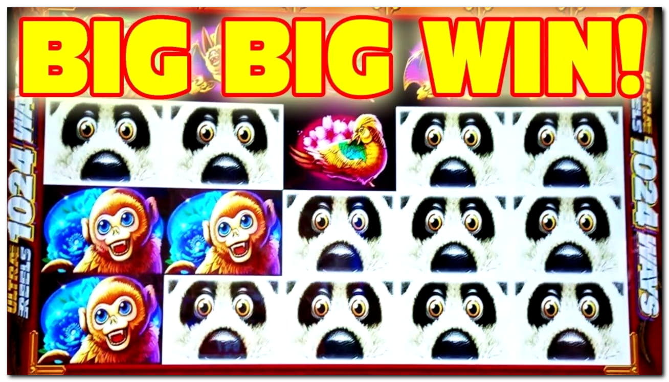 310% casino match bonus at Dafa Bet Casino