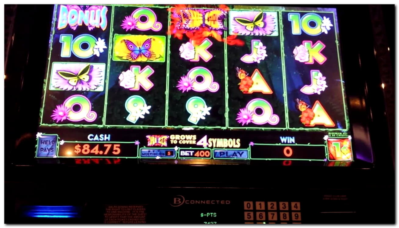 €225 Free Chip at Dafa Bet Casino