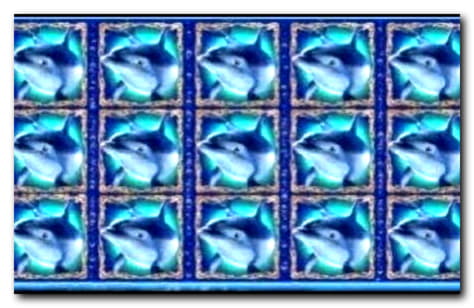 €555 Free Casino Chip at Maldives Casino 