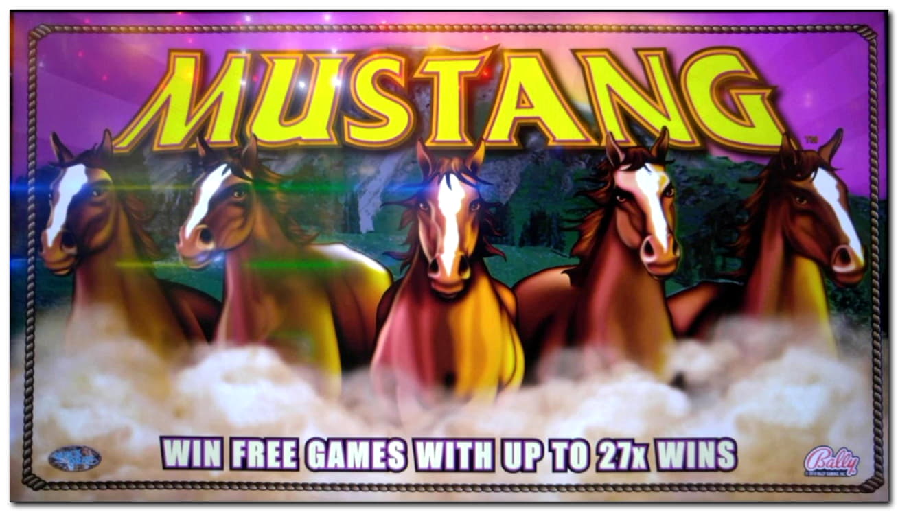 650% Welcome Bonus at Royal Panda Casino