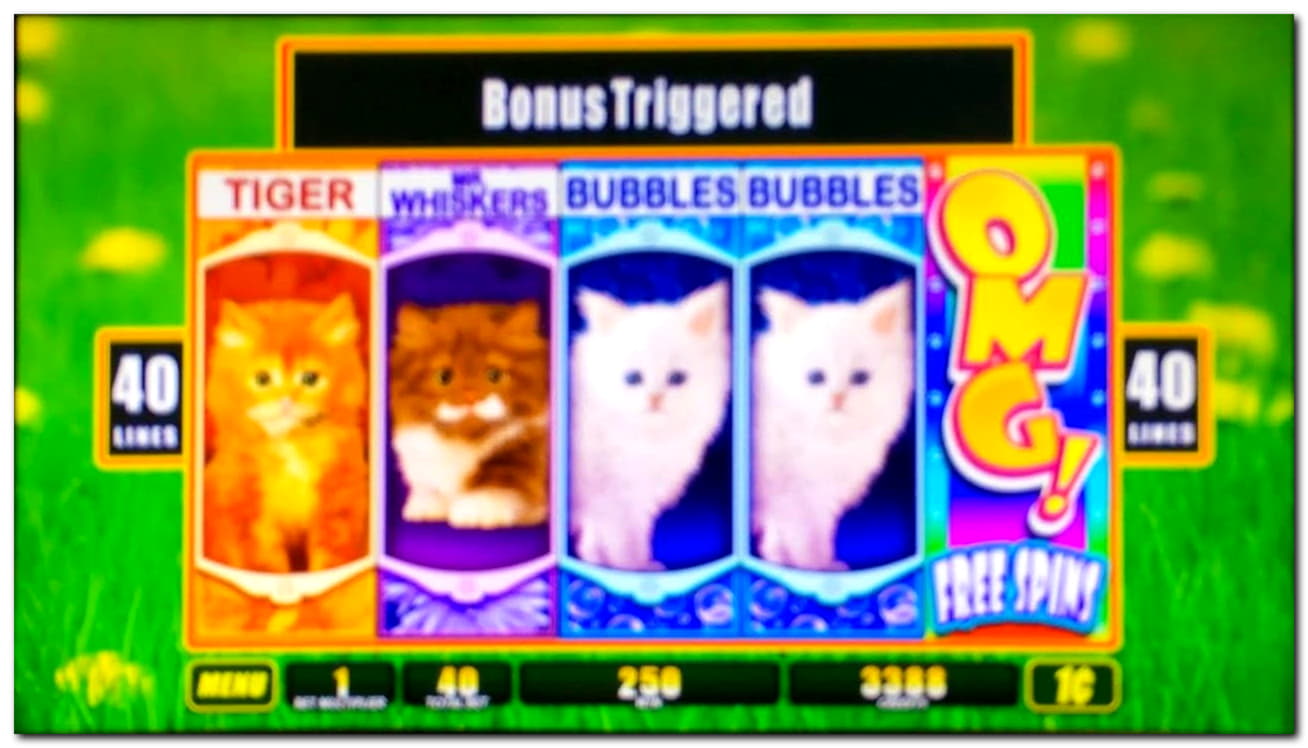Eur 300 Free Chip Casino at Cashmio Casino