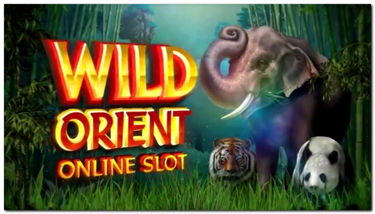 Eur 135 Free chip casino at Slots Heaven Casino