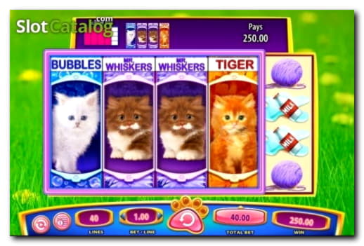 $250 Free chip casino at Intertops Casino