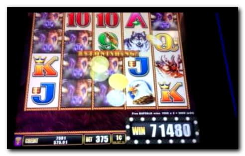 EUR 1115 NO DEPOSIT BONUS at Treasure Island Jackpots Casino (Australia Casino Mirror)