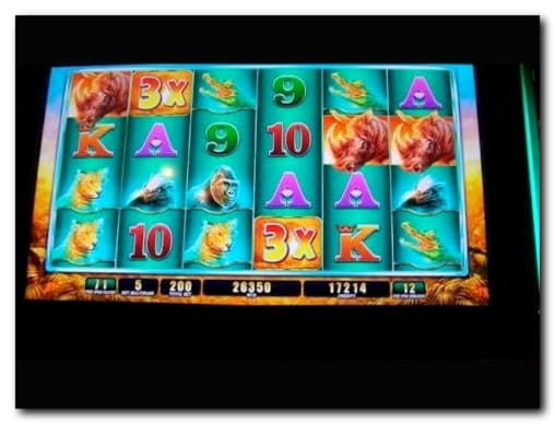 $285 Tournament at Maldives Casino 