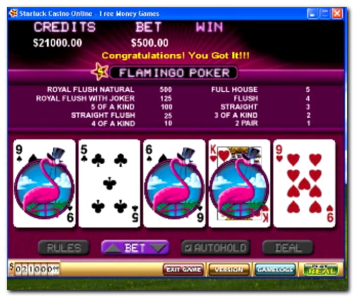 555% Welcome Bonus at Dafa Bet Casino