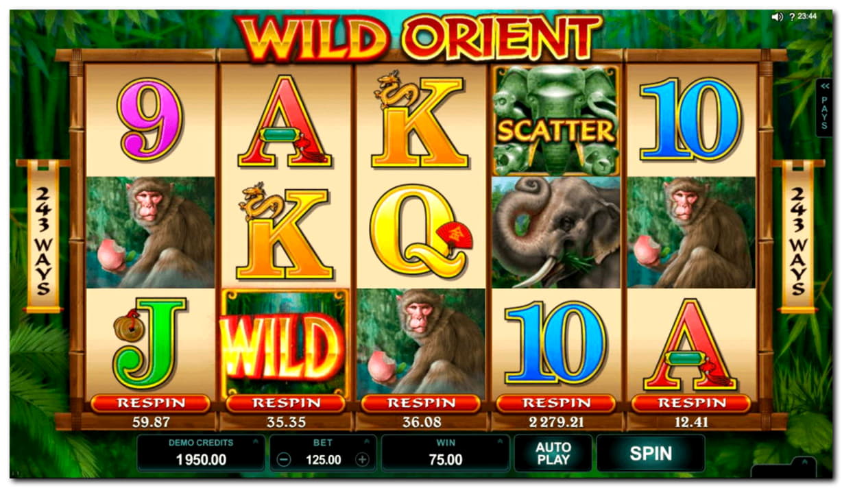 ﻿$305 free chip at Cafe Casino