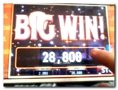 85 Free Spins right now at bWin Casino