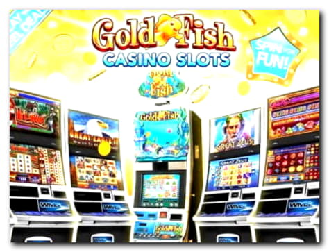 €670 Tournament at Dafa Bet Casino