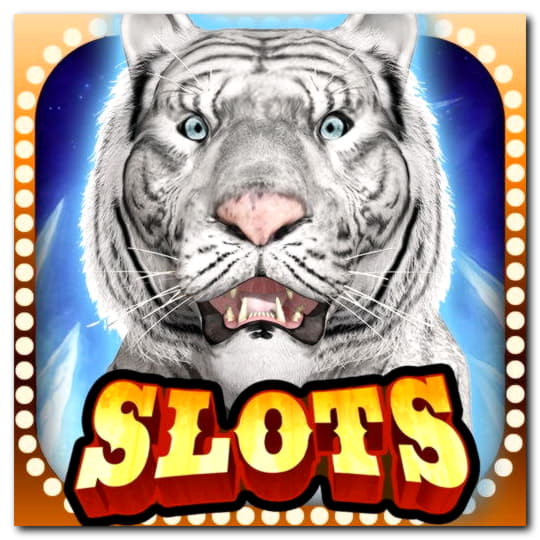 Eur 4415 No Deposit Bonus at Ruby Fortune Casino