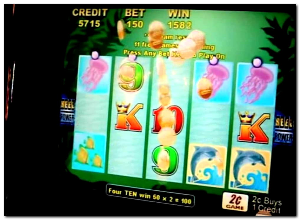 $780 Casino Tournament at Golden Star Casino