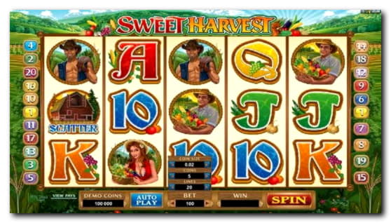 125 FREE SPINS at Dafa Bet Casino